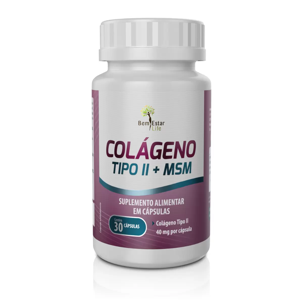COLAGENO  TIPO II + MSM